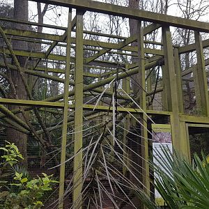 Potoroo, White-faced Saki Monkey and Golden Headed Lion Tamarin enclosure - Shaldon Wildlife Trust, January, 2016.