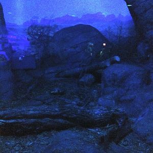 Banded Palm Civet Exhibit