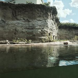 Florida: Mission Everglades- River Otter