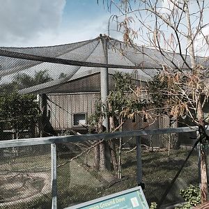 Florida: Mission Everglades- Aviary