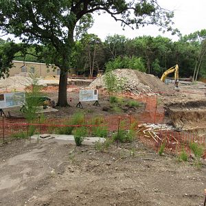 Simmons Hippo Outpost Construction