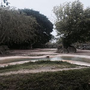 Asia- Indian Rhinoceros