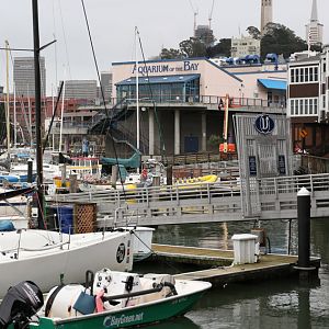 Aquarium exterior - back side