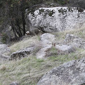 future photo enclosure