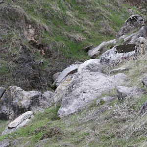 future photo enclosure