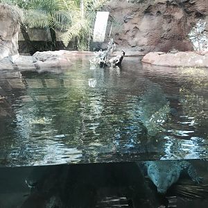 15894416_10211940710574738_5163745757220791286_n