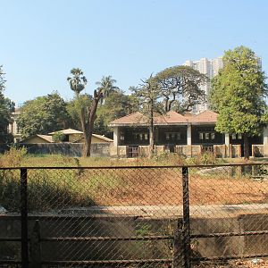 Asian Elehant enclosure, Mumbai Zoo