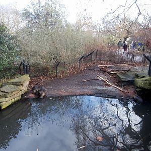 Hippotopia - Coypu enclosure