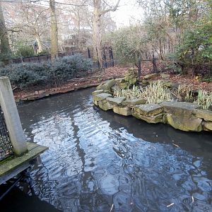 Hippotopia - Coypu enclosure