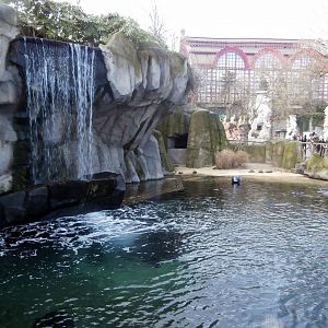 Common seal enclosure