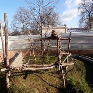 Nepalese red panda enclosure