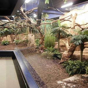 Nocturama enclosure with lights on