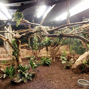 Nocturama enclosure with lights on