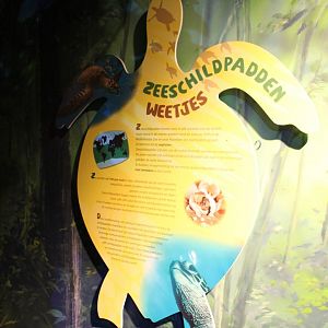 Sea turtle info-sign