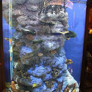 Aquarium