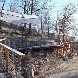 Baboon Outdoor Enclosure