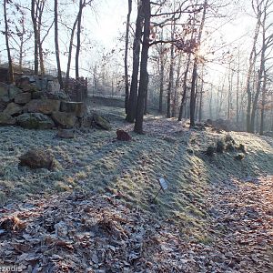 Walkthrough Yellow-footed Rock-wallaby Enclosure