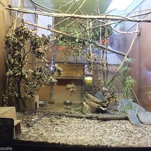 Example Enclosure in Exotarium