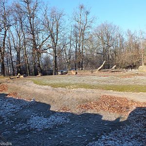 Mixed South American Enclosure