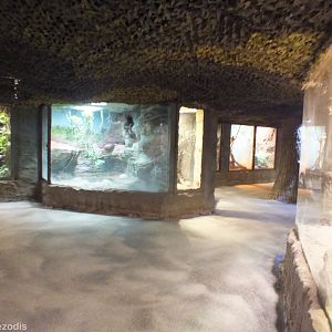 View in Tropical House