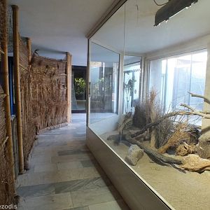 Sand Cat Indoor Enclosure and Viewing Area