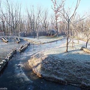 Ring-tailed Lemur and Waterbird Outdoor Enclosure