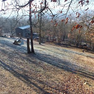 Altai Wapiti Enclosure