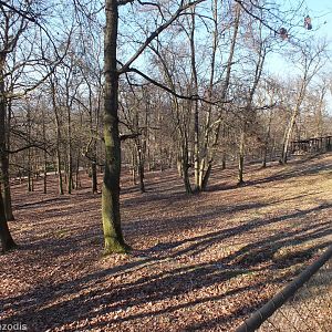 Elk (Moose) Enclosure