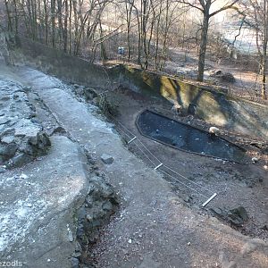 Polar Bear Enclosure