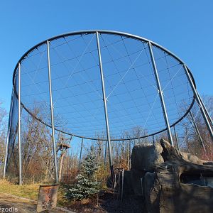 Walkthrough Bald Eagle Aviary