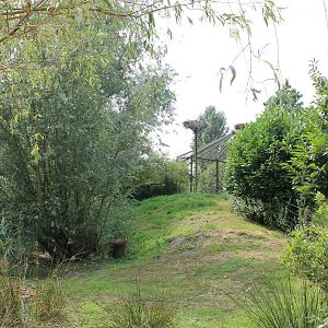 European white stork enclosure