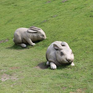 Rabbit-statues