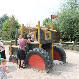 Playing Ground - Petting Zoo