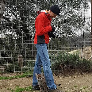 Me photographing cub