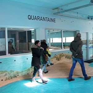 View into the Quarantaine