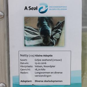 Info-sheet of one of the Seals
