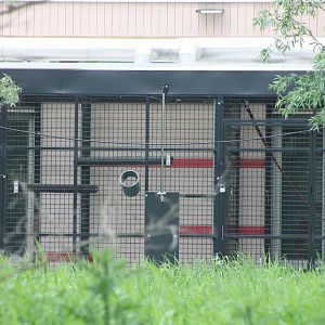 Behind-the-scenes Enclosures