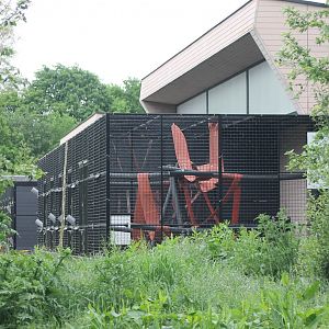 More Behind-the-scenes Enclosures