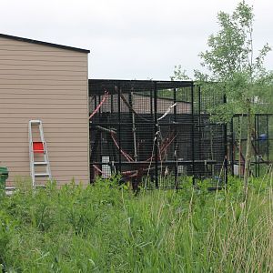 And even more behind-the-scenes enclosures
