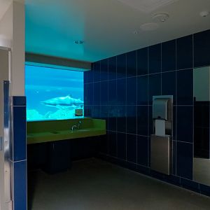 Shark Waters Exhibit - Preview from Men's Restroom Viewing Area