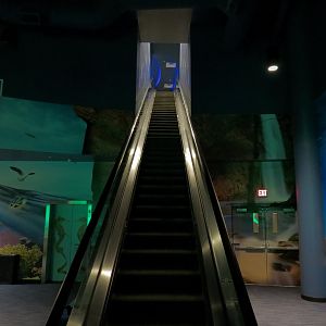 Aqua Lobby - Escalator Up To Exhibit Path