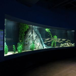 American Rivers - Colorado River Exhibit