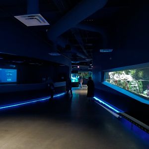 American Rivers - Hallway