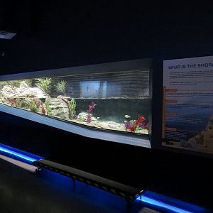 American Rivers - Shoreline Exhibit
