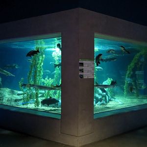 American Rivers - Gars Exhibit