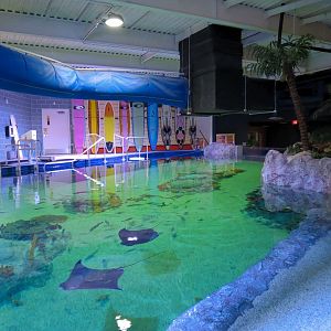 SeaTREK's Stingray Bay