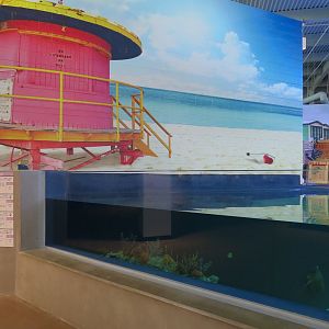 SeaTREK's Stingray Bay