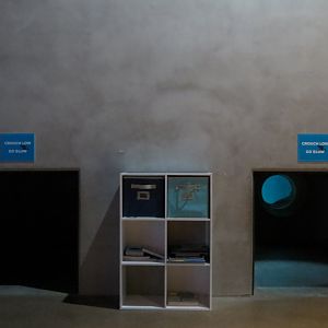 Penguin Point - African Black-footed Penguin Exhibit - Crawl Tunnel Entrance