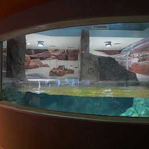 Penguin Point - Penguin Interaction Program Exhibit