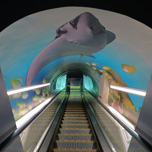 Deep Ocean - Deep Ocean Escalator